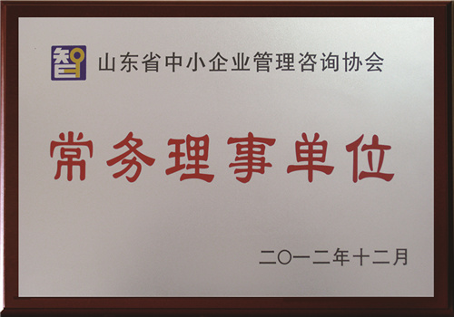 山东省中小企业管理咨询协会常务理事单